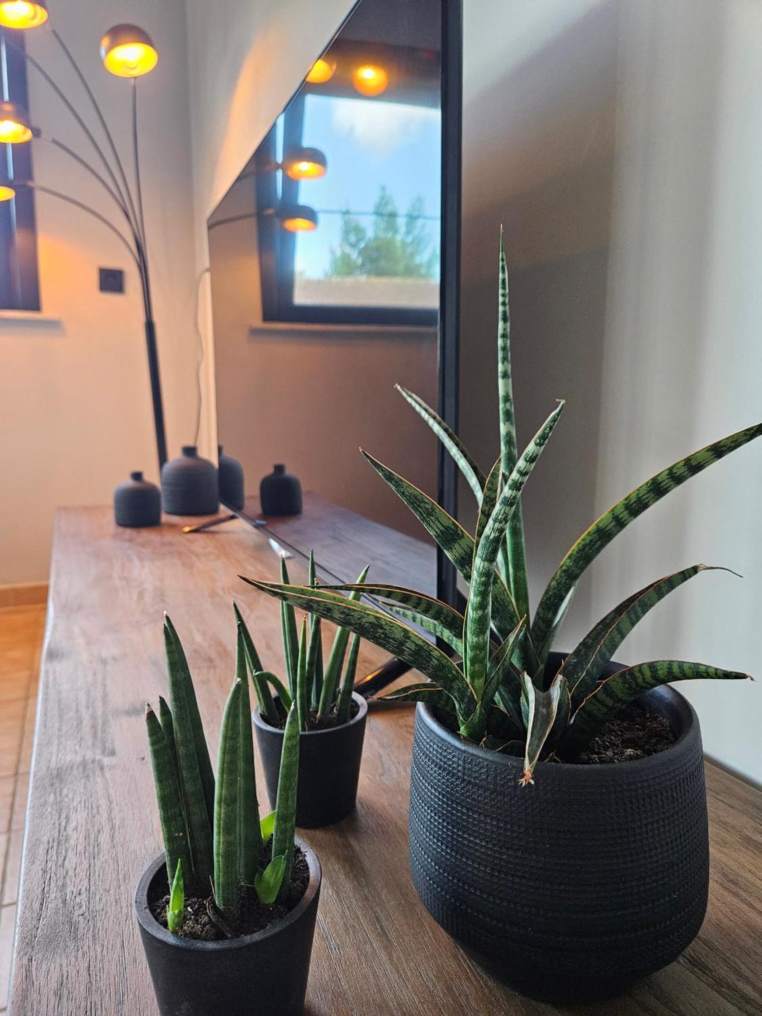 Vakantiewoning Maison Mathiz Middelkerke Kültér fotó